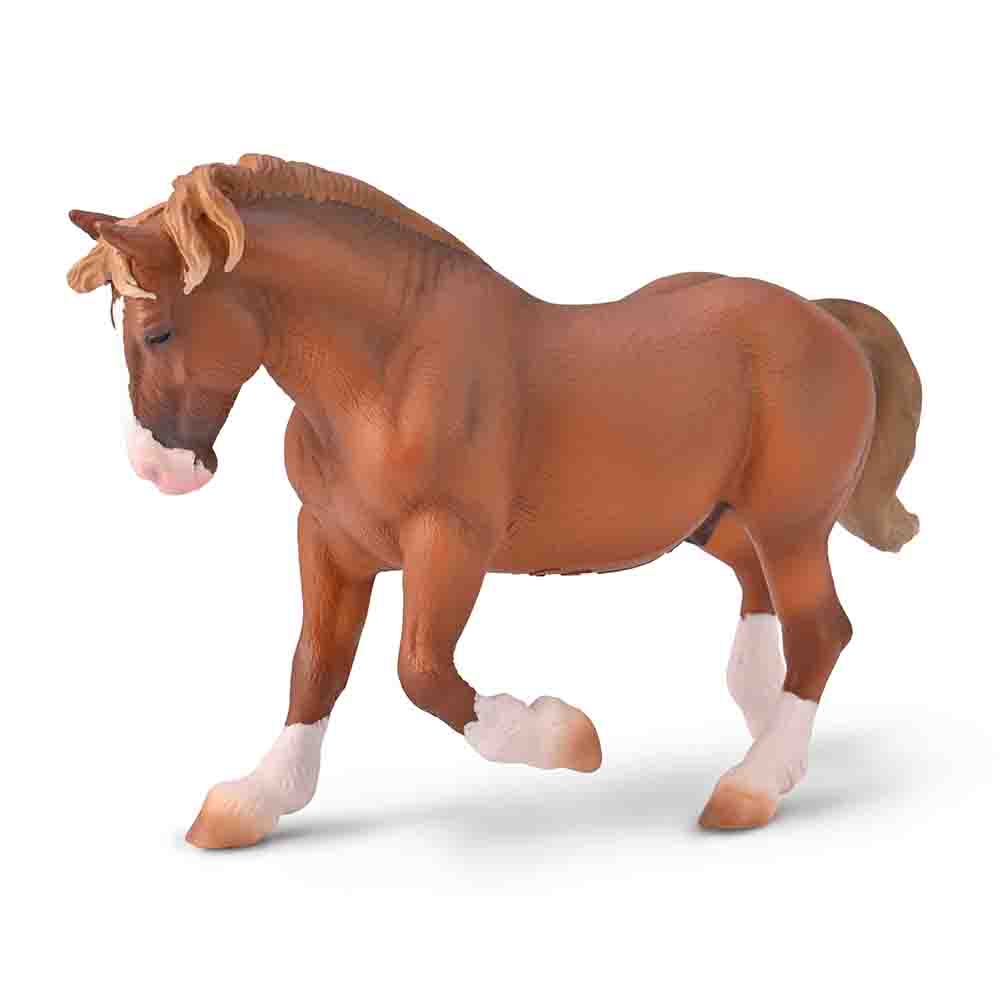 Breton Draft Horse Stallion Chestnut (3 Years +)