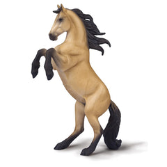 Warlander Mare Rearing - Buckskin (3 Years +)