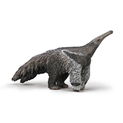 Giant Anteater (3 Years +)