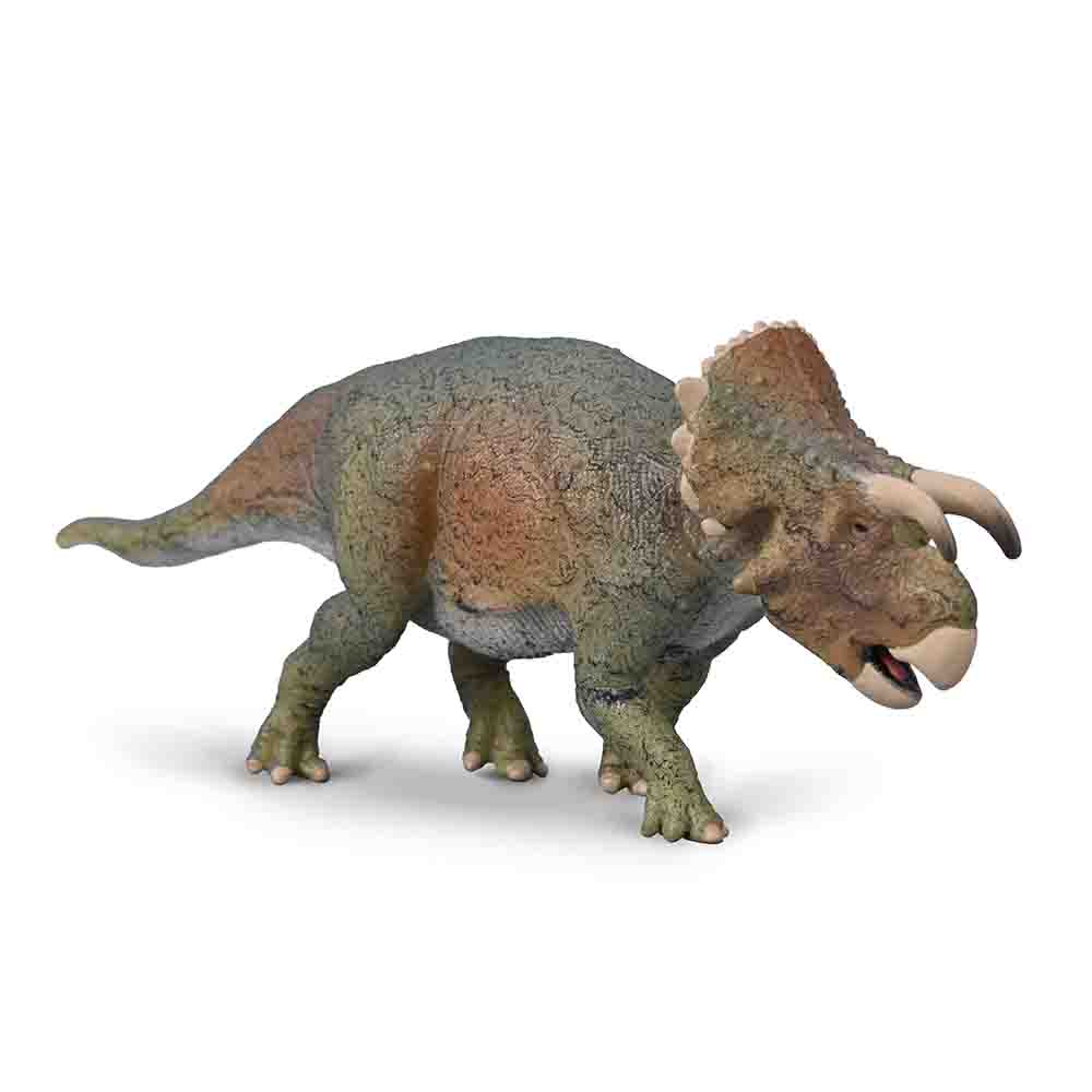 Furcatoceratops (3 Years +)