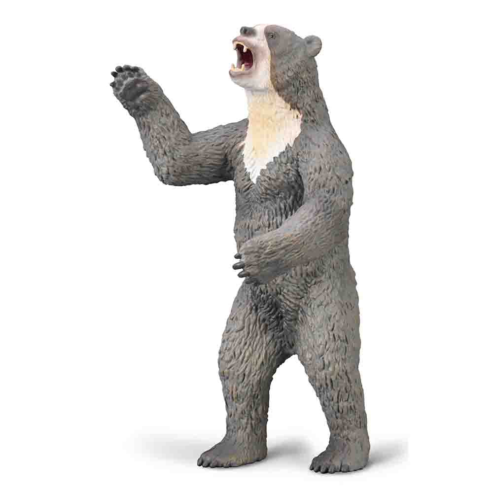 Giant Short-faced Bear (3 Years +)