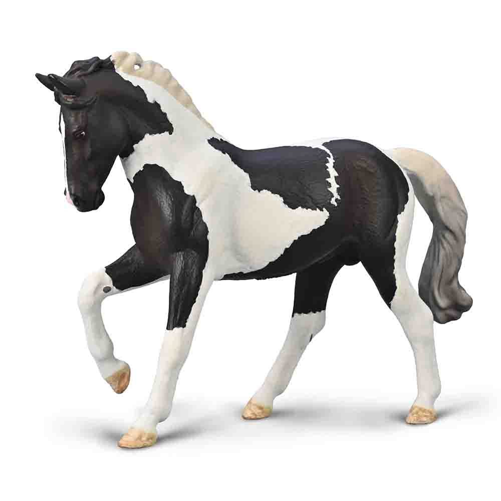 Warmblood Stallion - Black Tobiano (3 Years +)
