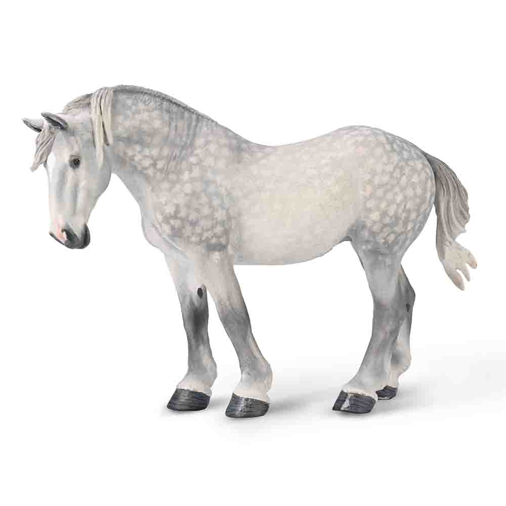 Percheron Mare –  Dappled Grey (3 Years +)