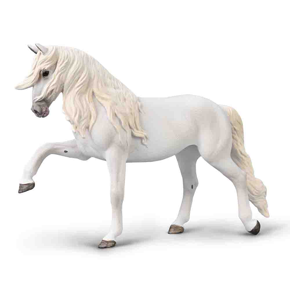 Lipizzaner Mare - Spanish walk (3 Years +)