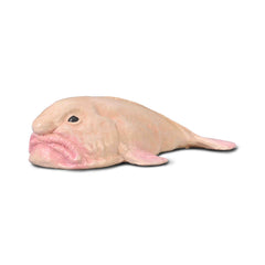 Blobfish (3 Years +)