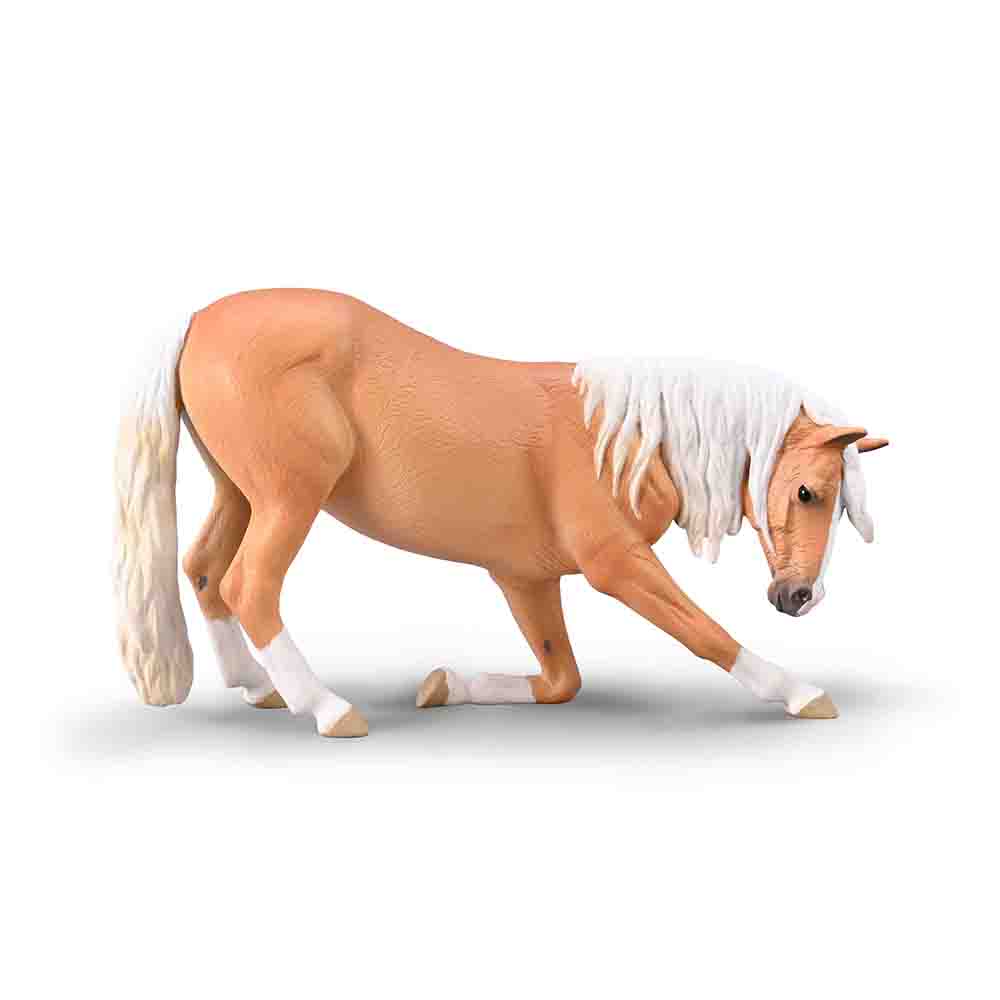Bowing Lusitano mare Palomino (3 Years +)