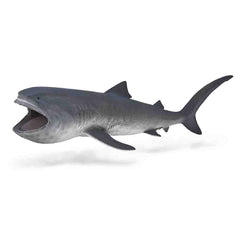 Megamouth Shark (3 Years +)