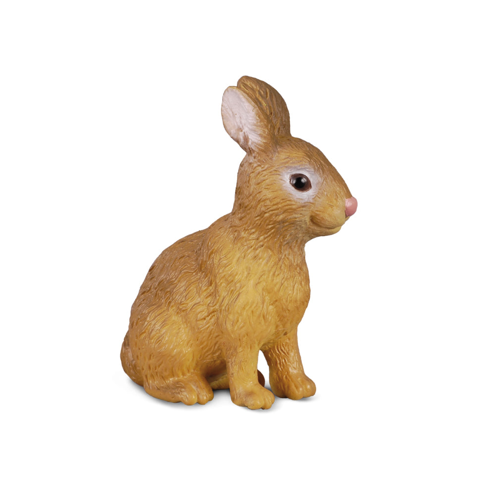 Rabbit (3 Years +)