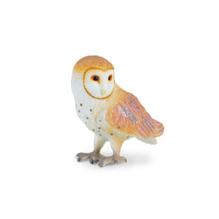 Barn Owl (3 Years +)