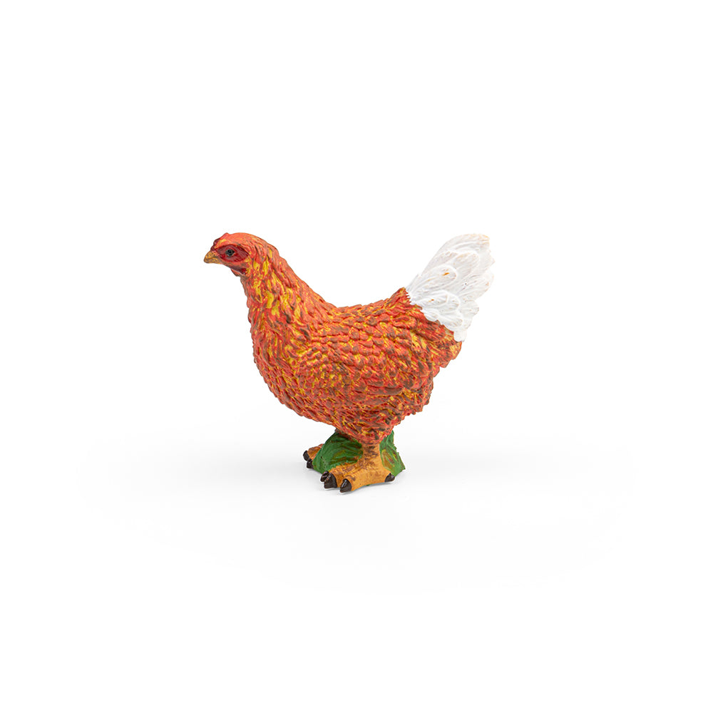 Hen (3 Years +)