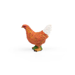 Hen (3 Years +)