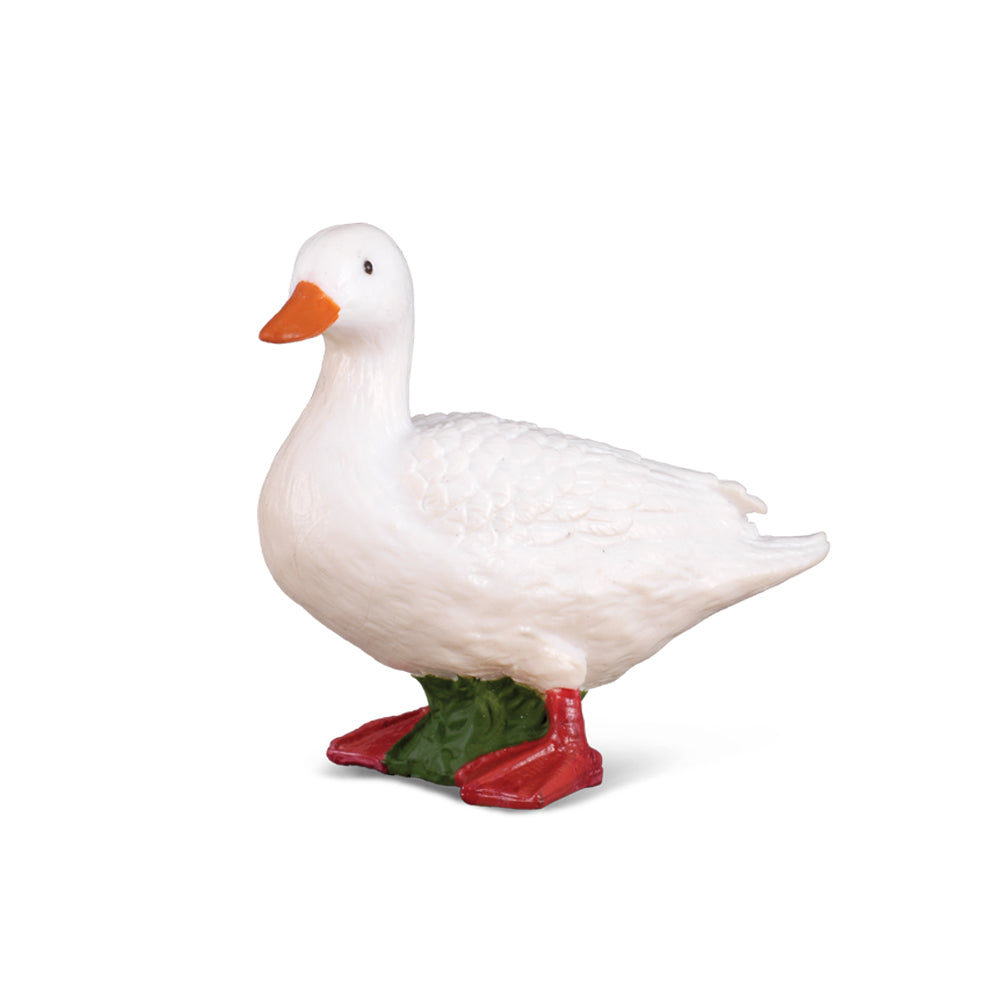 White Duck (3 Years +)