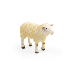Sheep (3 Years +)