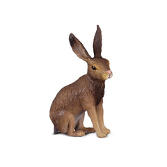 Brown Hare (3 Years +)