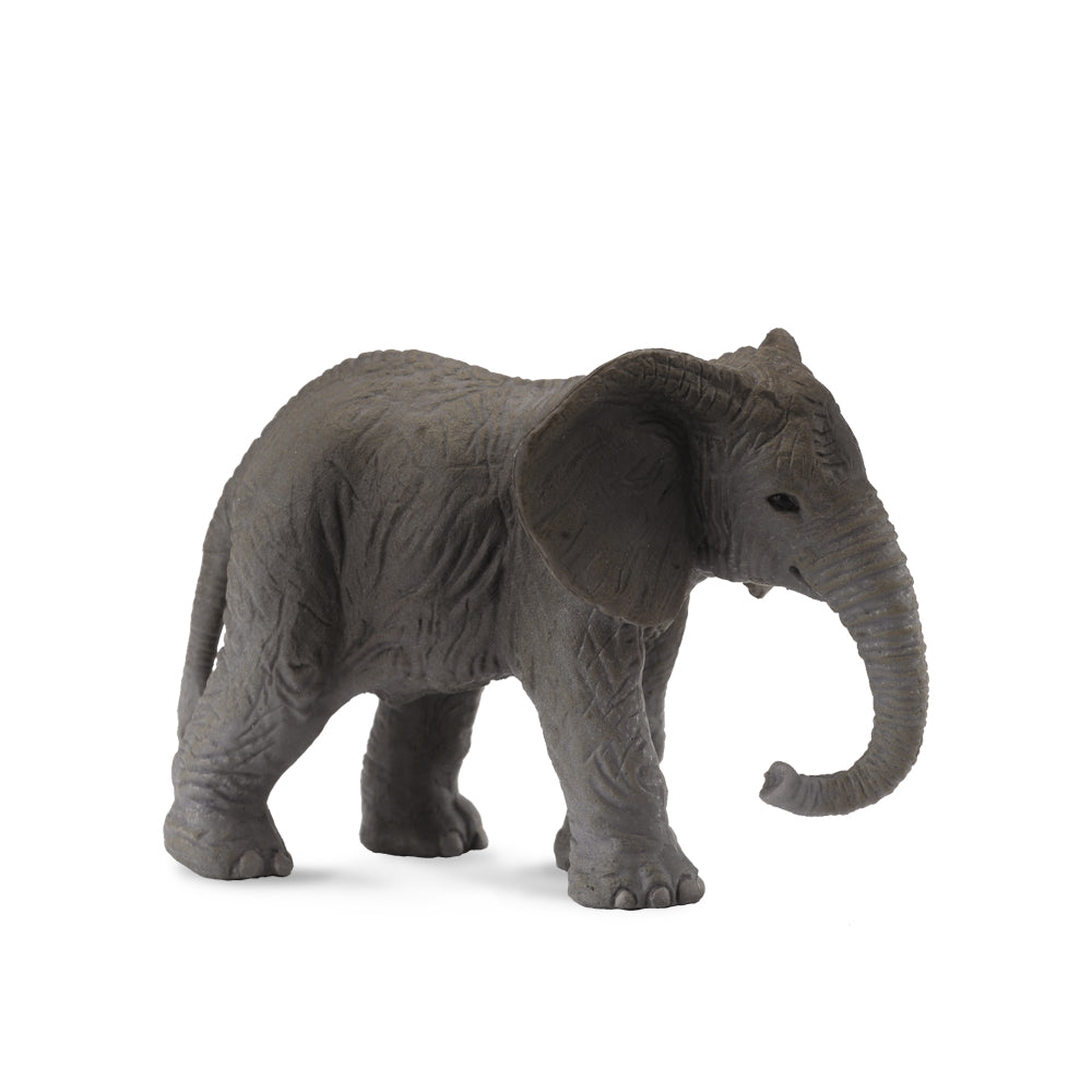 African Elephant Calf (3 Years +)
