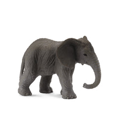 African Elephant Calf (3 Years +)