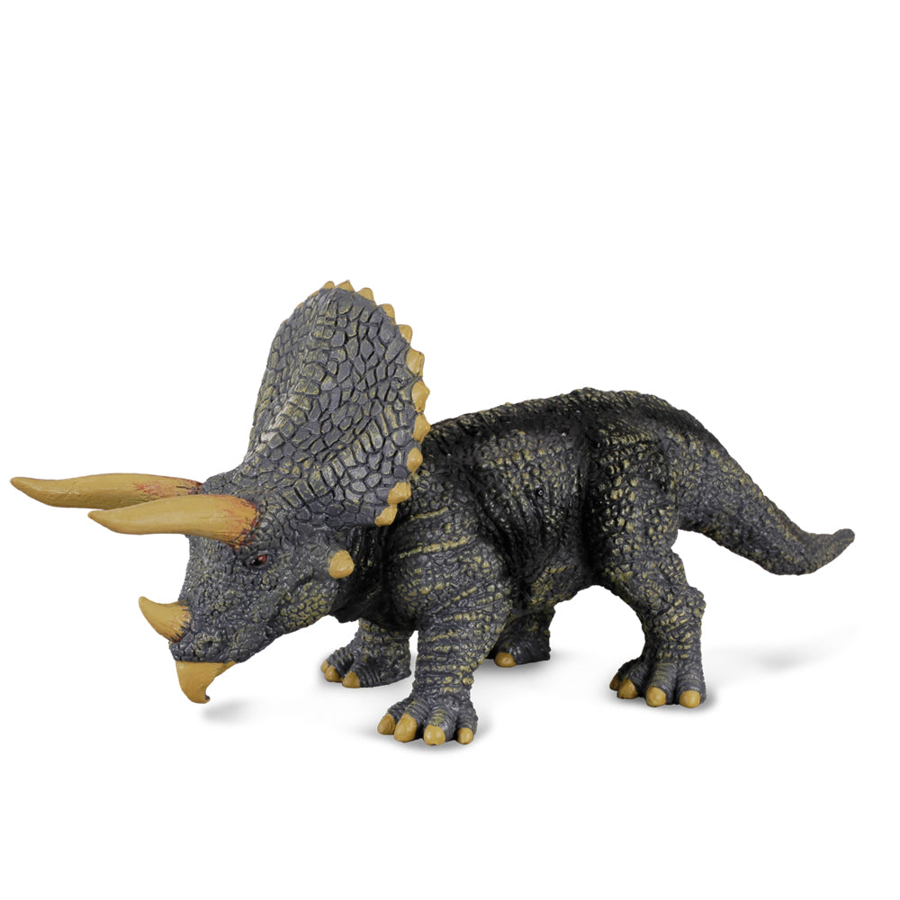 Triceratops (3 Years +)