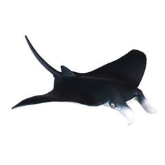 Manta Ray (3 Years +)