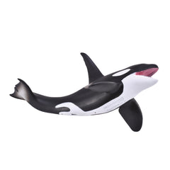 Orca (3 Years +)