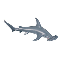 Scalloped Hammerhead Shark (3 Years +)