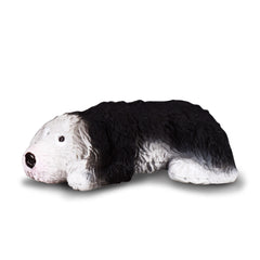 Old English Sheepdog Puppy (3 Years +)