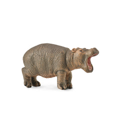 Hippopotamus Calf (3 Years +)