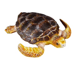 Loggerhead Turtle (3 Years +)