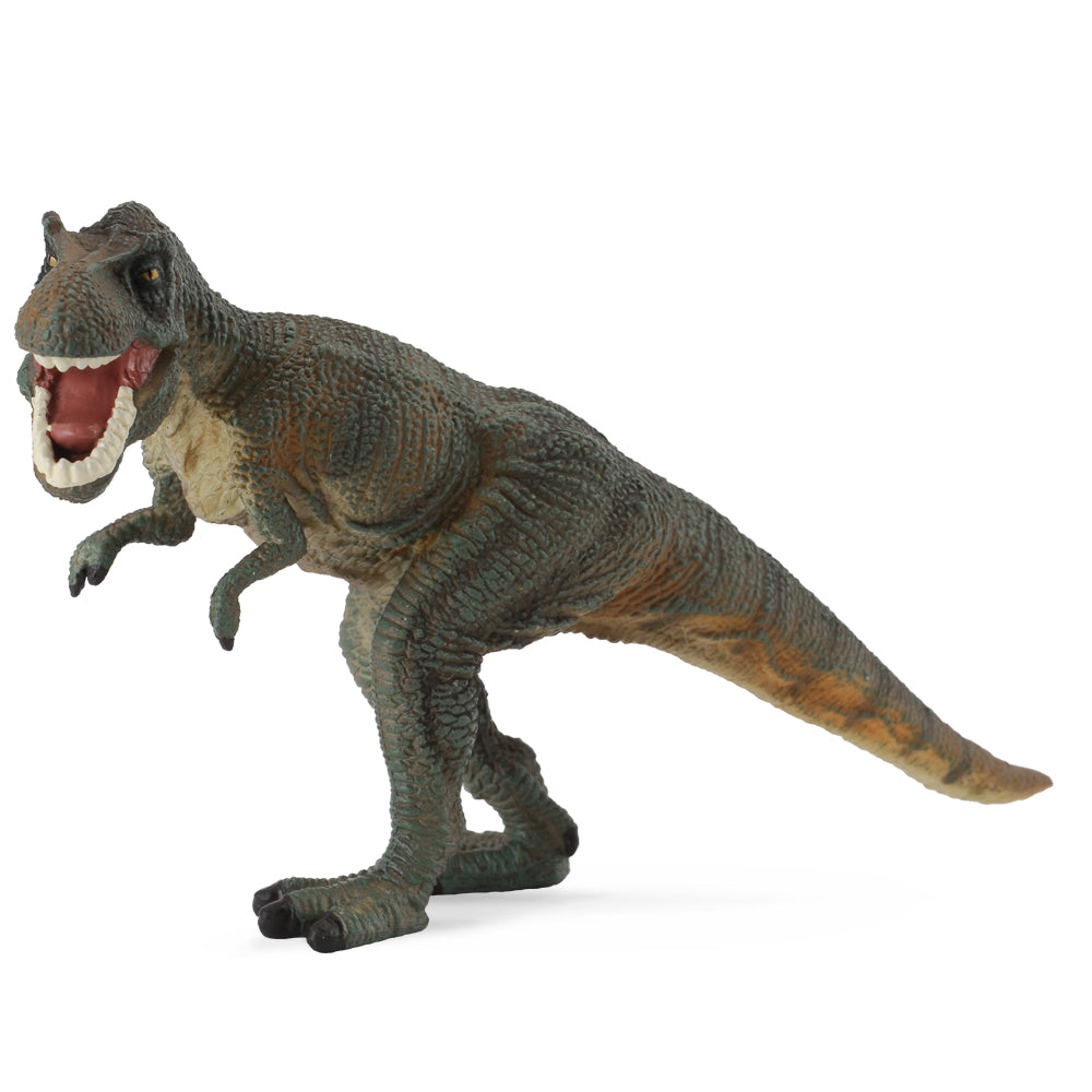 Tyrannosaurus Rex Green (3 Years +)