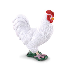 Cockerel White (3 Years +)