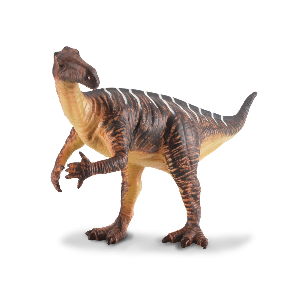 Iguanodon Brown (3 Years +)