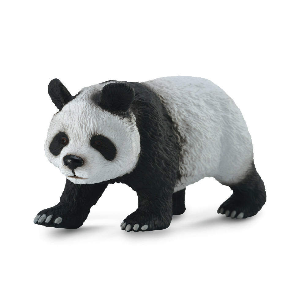 Giant Panda (3 Years +)
