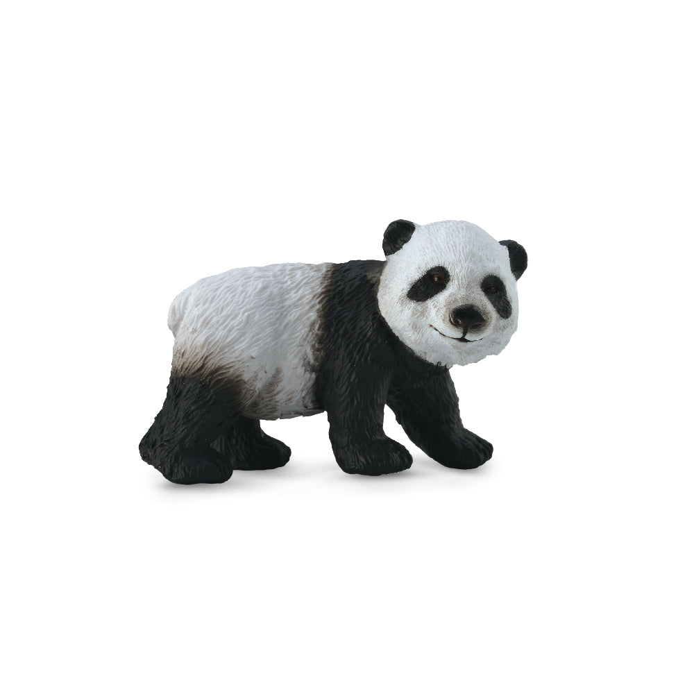 Giant Panda Cub Standing (3 Years +)