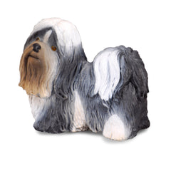 Shih Tzu (3 Years +)