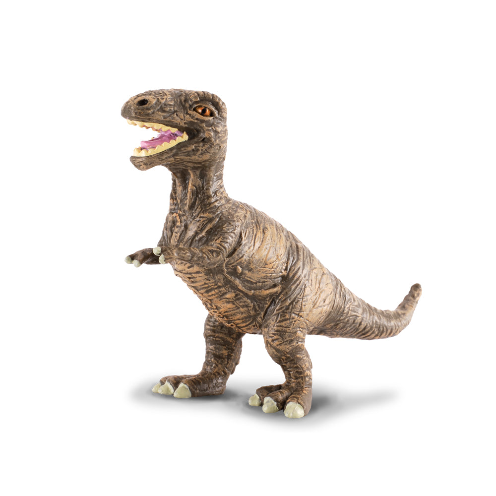 Tyrannosaurus Rex Baby (3 Years +)