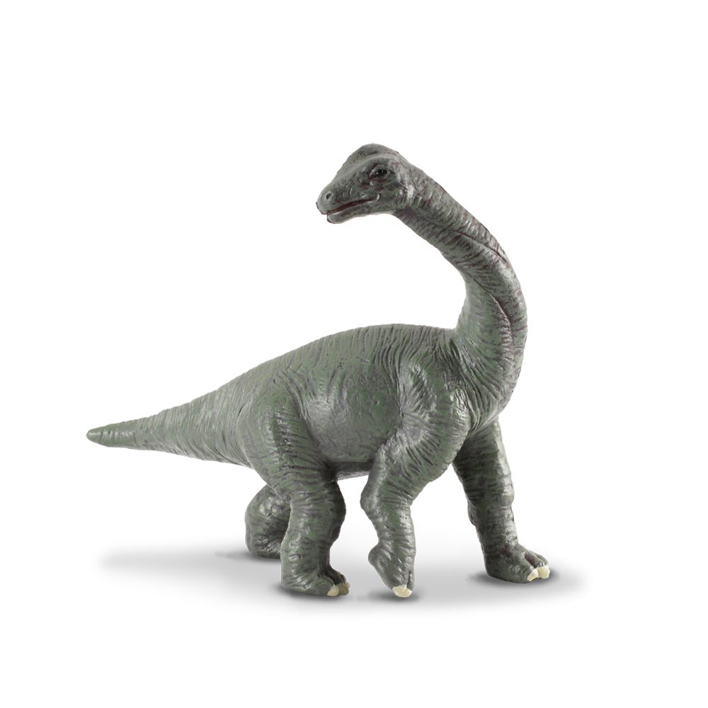 Brachiosaurus Baby (3 Years +)