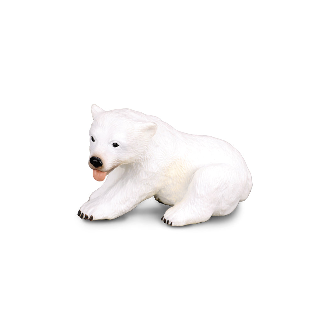 Polar Bear Cub Sitting (3 Years +)