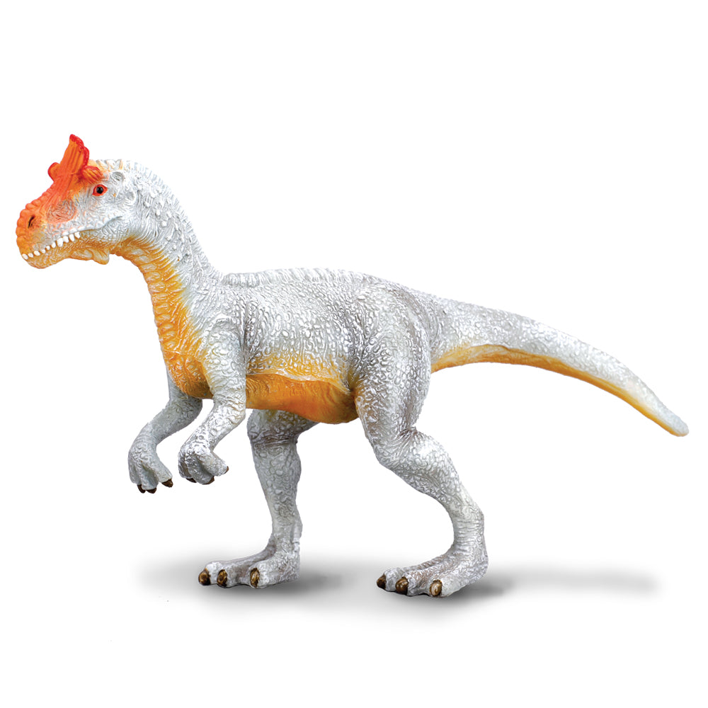 Cryolophosaurus (3 Years +)