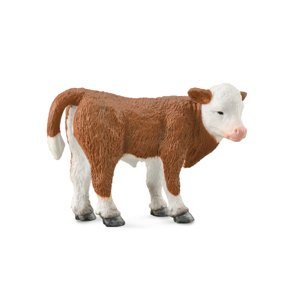 Hereford Calf Standing (3 Years +)