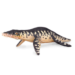 Liopleurodon (3 Years +)