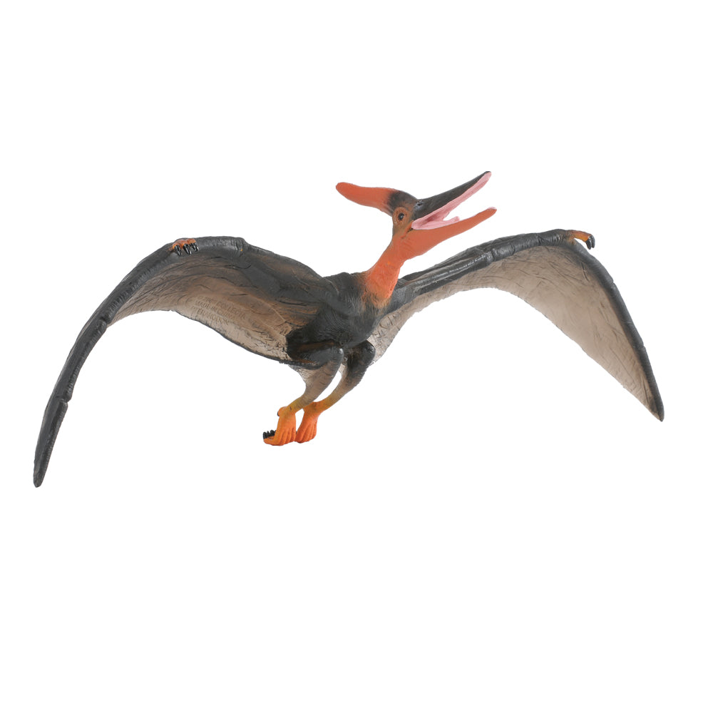 Pteranodon 1:40 (Deluxe) (3 Years +)