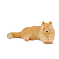Persian Cat Lying (3 Years +)