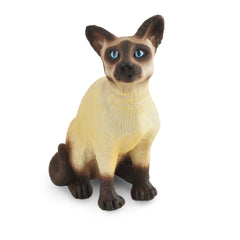 Siamese Cat Sitting (3 Years +)