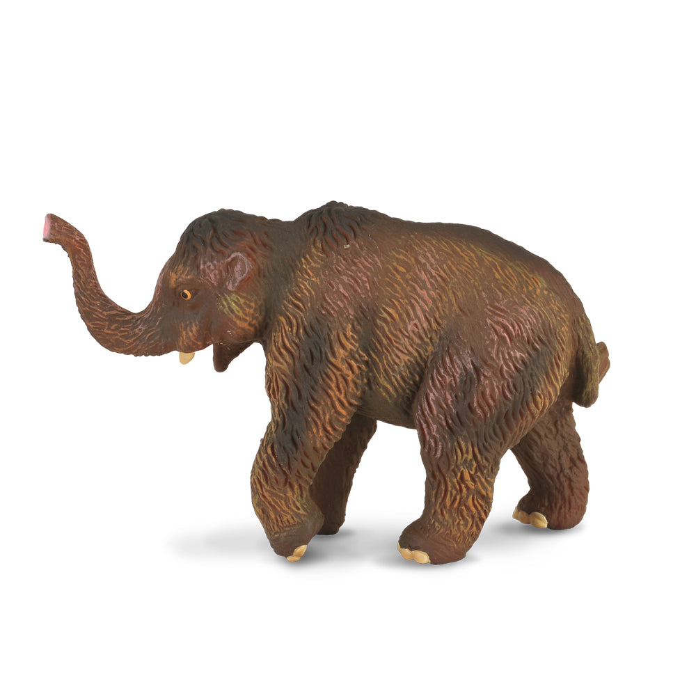 Baby Mammoth (3 Years +)