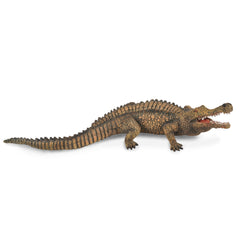 Sarcosuchus (3 Years +)
