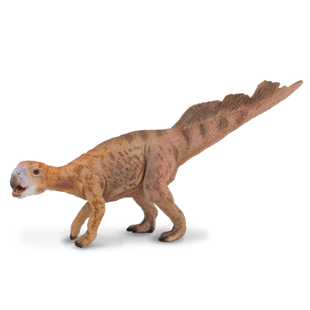 Psittacosaurus (3 Years +)