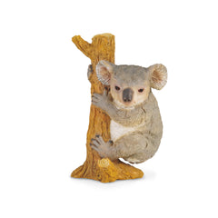 Koala Bear Climbing (3 Years +)