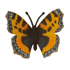 Small Tortoiseshell (3 Years +)