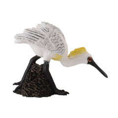 Black-faced Spoonbill (Walking) (3 Years +)