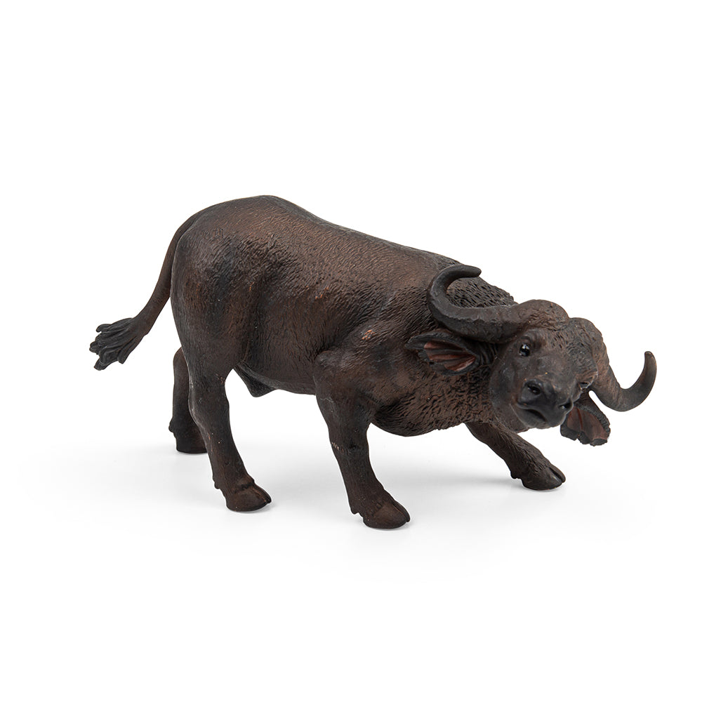 African Buffalo (3 Years +)