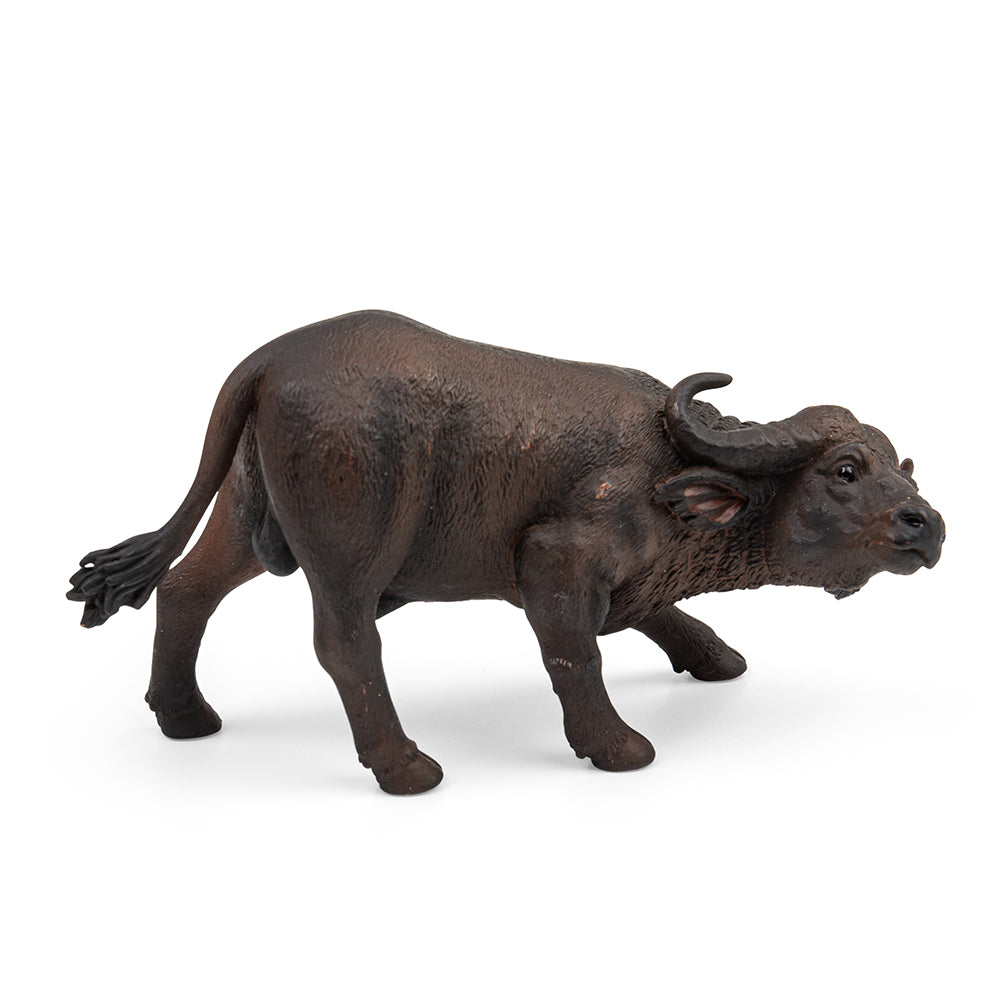 African Buffalo (3 Years +)